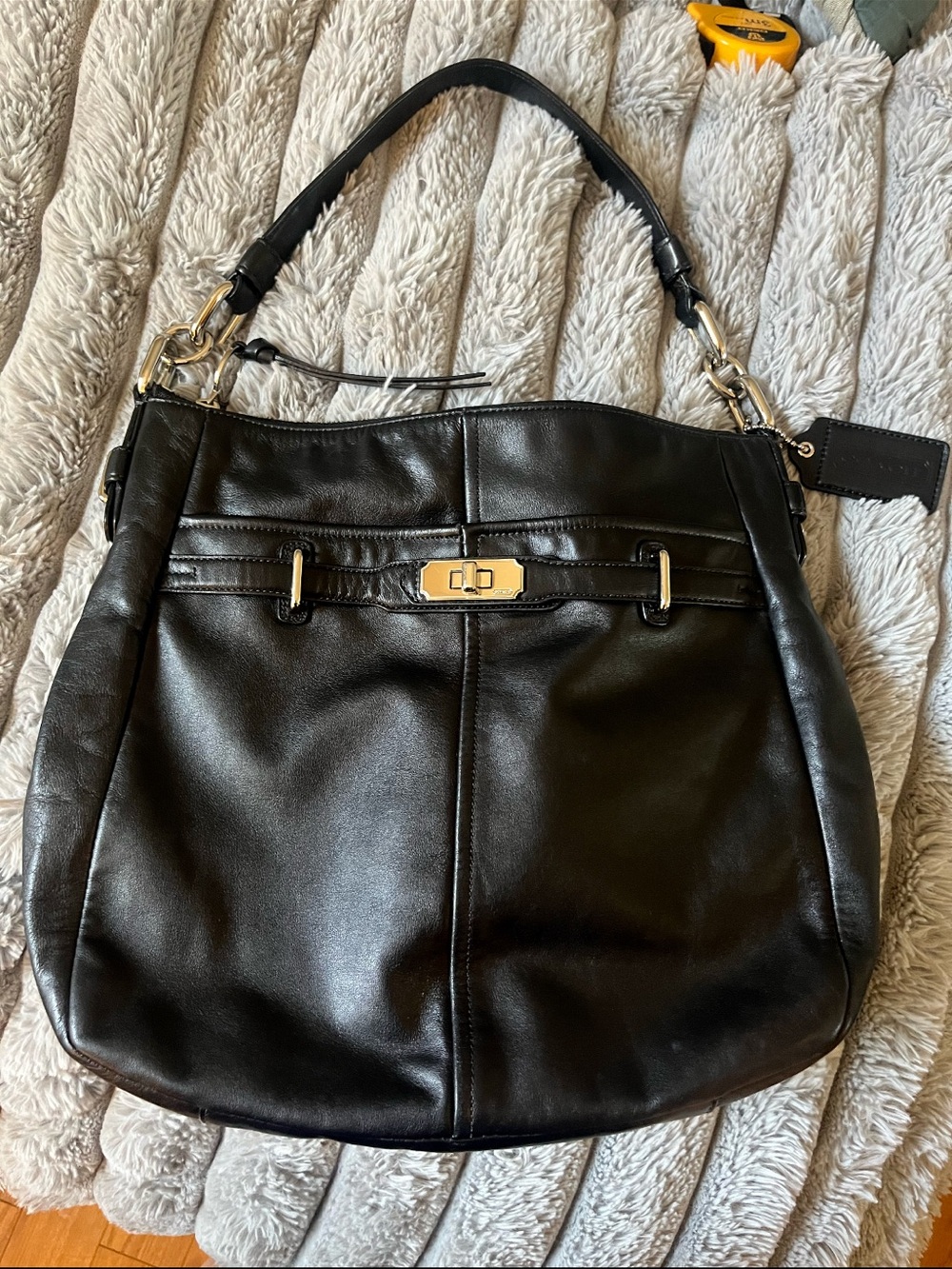 Coach Chelsea Ashlyn Hobo Leather Shoulder Bag in Black